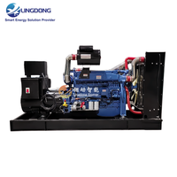 Générateur triphasé silencieux de type 250 kW, fréquence 50 Hz, groupe électrogène diesel de 300 kVA, 1500 tr/min pour usine de transformation alimentaire