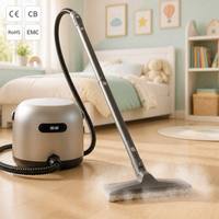 Nettoyeur de tapis portable électrique CE Commercial léger à chauffage rapide, fonction aspirateur eau et poussière, nettoyeur vapeur Hidrolavadora