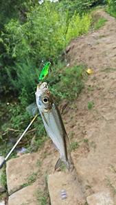 Señuelo metálico VIB, cebo artificial duro para pesca <span class=keywords><strong>de</strong></span> <span class=keywords><strong>peces</strong></span> <span class=keywords><strong>de</strong></span> agua dulce - Product Image 6