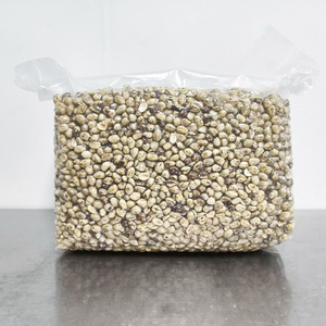 Noix de hêtre grillées et blanchies du nord-est de la Chine, carton de 10 kg - Product Image 5