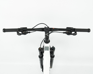 Vélo de montagne Twitter Factory Direct 29 (<span class=keywords><strong>27</strong></span>,<span class=keywords><strong>5</strong></span>) <span class=keywords><strong>pouces</strong></span>, modèle TW3900XC 30S, en alliage d'aluminium, avec 24 vitesses et freins à disque hydrauliques Tektro. - Product Image 5