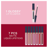 Vente chaude marque privée longue durée mat liquide rouge à lèvres et lèvres plus dodues ensemble de maquillage crème imperméable forme brillant à lèvres en gros
