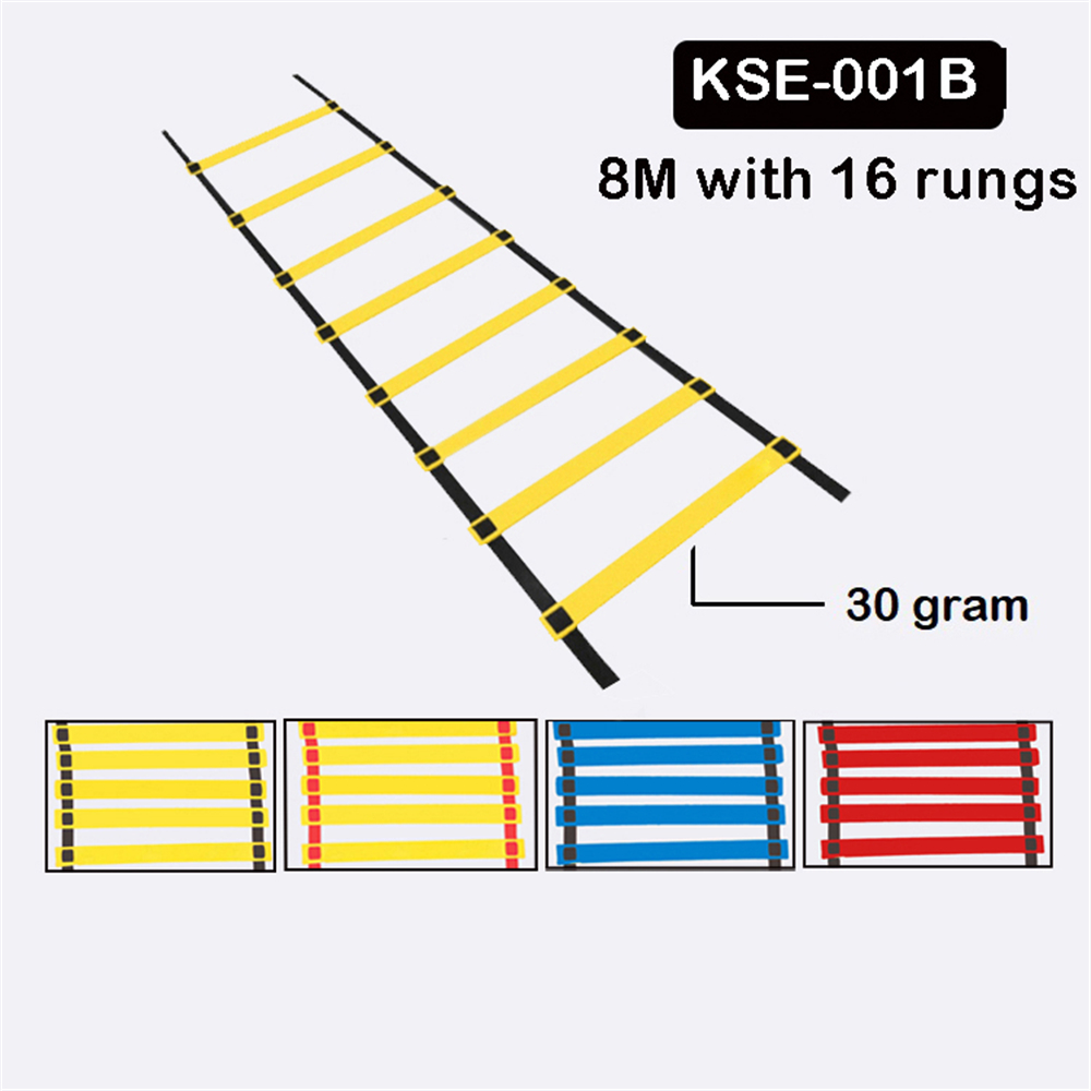 B8