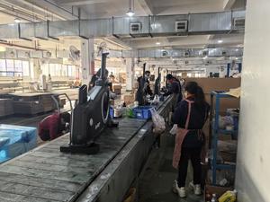 Vélo d'appartement auto-alimenté GS-9003W pour l'exercice physique - Product Image 5