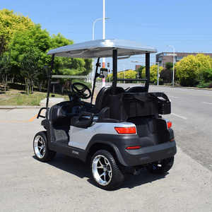 Golf Cart <b>2</b> <b>Passengers</b> High Quality Buggy Customized Motor Acid Battery Controller Lead Color Typ - Product Image 5