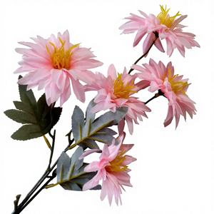 Rose de <span class=keywords><strong>bleuet</strong></span> - Product Image 4