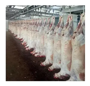 Halal meat sheep meat processing machine for lamb slaughter plant