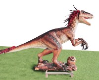 Dinosaure Velociraptor Animatronique Chevelu à Télécommande, à Monnayeur, avec Peau en Silicone et Châssis en Acier, qui Ruge, pour Parc d'Aventures