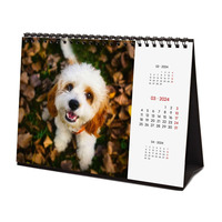 Calendrier de bureau à thème chien, calendrier mensuel et quotidien, décoration de bureau pour 2026