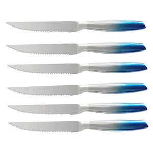 Custom Size 4.5 Inch Hollow Handle Stainless Steel Steak Knives Serrated Steak Knife Set with Blue Coating Handle