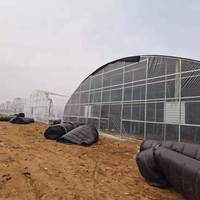 Systèmes de culture hydroponique agricole pour légumes et tomates, grande serre familiale à simple travée en film PE transparent