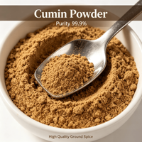 Poudre de cumin naturelle de qualité supérieure pour assaisonnement de curry et barbecue
