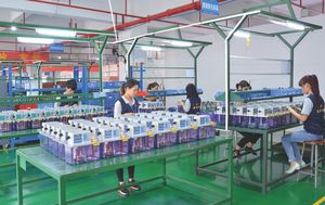 China Baotn 4L Plc Elektrische Vetsmering Pomp - Product Image 4