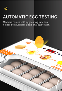 Livraison gratuite Nouvelle mini incubatrice à œufs pour 20 poussins <span class=keywords><strong>Machine</strong></span> d'éclosion automatique - Product Image 3