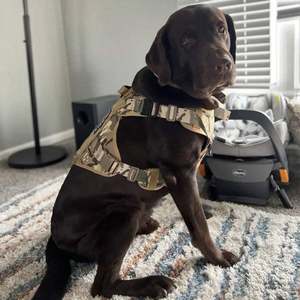 Harnais pour chien en nylon tactique imperméable de haute qualité, ensemble de 12 accessoires modulaires, système de patrouille nocturne, gilet anti-traction pour - Product Image 2