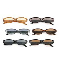 Kacamata Hitam Oval Kecil UM 62137 Model Terbaru, Gaya Selebgram, Fashionable, Trendi Amerika, Bingkai CP