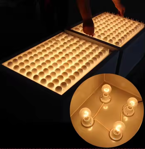 Incubadora <span class=keywords><strong>de</strong></span> Huevos con Luz, 88 Huevos, Venta Directa <span class=keywords><strong>de</strong></span> Fábrica, Probador <span class=keywords><strong>de</strong></span> Incubación, Equipo <span class=keywords><strong>de</strong></span> Granja, Accesorios <span class=keywords><strong>de</strong></span> Alta Calidad - Product Image 3