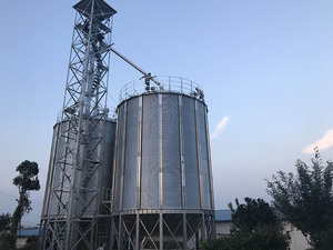 <span class=keywords><strong>Silo</strong></span> di cereali <span class=keywords><strong>Silo</strong></span> di cereali di risaia di semi di stoccaggio per cereali - Product Image 6