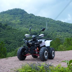 Quad 125cc fabriqué en Chine pour le tout-terrain - Product Image 1