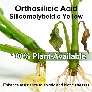 Asam Monosilikat yang Distabilkan, Asam Silikat Asam Ortosilikat (Asam Mo Silikat) Pupuk Cair untuk Meningkatkan Pertumbuhan Tanaman - Product Image 2
