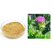 ผงสารสกัดแห้งจากมิลค์ธิสเทิล (Silybum Marianum) คุณภาพพรีเมียม มาตรฐาน 80% ซิลิมาริน สารสกัดจากพืชธรรมชาติ สำหรับใช้ทางสมุนไพร - Product Image 5