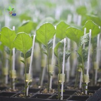 Clips de greffage pour tomates, poivrons et aubergines, clips pour cucurbitacées, clips pour greffages de tomates