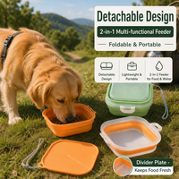 Bol pliable en silicone pour animaux de compagnie, personnalisé, portable, 2 en 1, pour nourriture et eau, pour chiens et chats, durable, non toxique