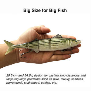 Leurre de <span class=keywords><strong>pêche</strong></span> articulé multi-articulations de 20,5 cm (50,6 g) 8 pouces, leurre de <span class=keywords><strong>pêche</strong></span> pour gros poissons, leurre de <span class=keywords><strong>pêche</strong></span> pour la <span class=keywords><strong>pêche</strong></span> au bar, au brochet, à la truite, au musky - Product Image 4