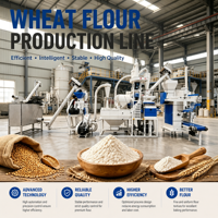 Ligne de production de farine de blé à alimentation automatique : réduit l'engagement manuel, augmente l'efficacité de travail pour les petites usines de farine