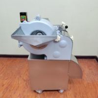 Fruit- en groentesnijmachine, -schaafmachine, -blokjesmachine, -hakmachine, universele snijder, snijmachine, snijder, hakselaar, motor, roestvrij staal 304