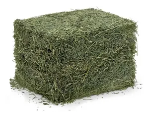 High Grade Quality Pakistani Hay Excellent Food-Grade Alfalfa Pellets, Perfect For Animal Feeding Best Animal Feeding Exporter