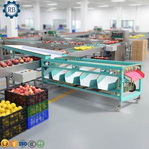 Máquina de limpieza y clasificación de frutas: aguacate, kiwi, cítricos, guayaba, naranja, mango y otros frutos. - Product Image 2