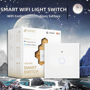 单路 WiFi 智能灯按钮开关 需要中性线 接地 Alexa Google Assistant 250V 10A - Product Image 2