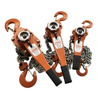 Palans à levier à cliquet de 3 tonnes et 3 m avec chaîne G80 IP55, palan manuel robuste pour la construction industrielle, l'atelier et le levage