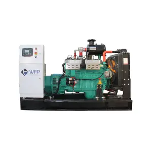 Hot Koop Wfp Merk Aardgas En Biogas Generator Set