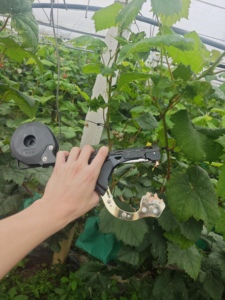 Machine à lier les plantes portative, outil Tapener pour raisins, tomates, concombres - Product Image 4