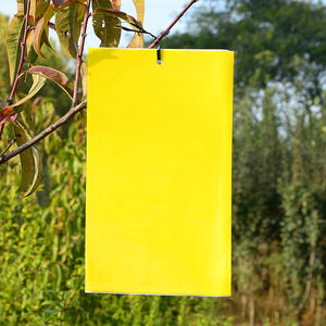 100 pièces/paquet - Piège à insectes jaune de petite taille 10x20cm, colle non toxique pour plantes d'intérieur, jardin domestique, lutte antiparasitaire - Product Image 4