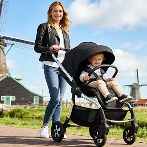 Poussette Bébé Landleopard de Luxe à Cadre en Alliage d'Aluminium Certifiée EN1888-2, Amortisseur 4 Roues, Pliable à 360°, Charge 20KG, 0-3 Ans - Product Image 1