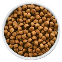 Séchoir à tambour pour la transformation alimentaire, capacité 150 kg, pour le séchage des aliments pour animaux de compagnie et des aliments pour poissons, avec vitesse réglable