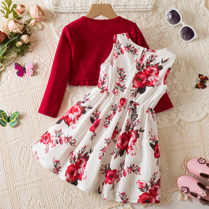 Vestido de princesa de malla para niñas, diseño de manga voladora con bordado de flores personalizado, vestido de fiesta con tirantes y falda de tul, venta al por mayor - Product Image 2
