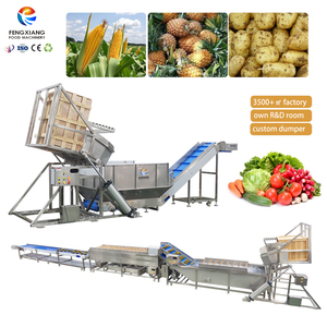 Fengxiang Customized Vegetable and Fruit <b>Feeding</b> <b>Machine</b> Pineapple Mango Potato Corn Carrot Crate Dumper Feeder - Product Image 1