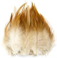 DIY écologique vente en gros diverses couleurs 2.5-4 pouces #121 colorant n'importe quelle couleur plume de poulet vente chaude plume de selle de coq