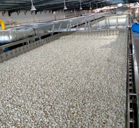 Mesin Lini Produksi Pengolahan Pistachio Otomatis: Pengupasan, Pembukaan, Penggolongan, Pemisahan Kulit, dan Pengolahan Lengkap