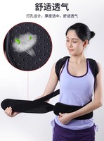 Attelle de fixation vertébrale multi-sangles réglable pour un ajustement personnalisé, vente en gros directe d'usine
