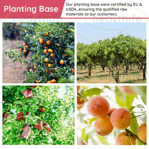 Healthife - Polvo de Frutas y <span class=keywords><strong>Verduras</strong></span> Rojas Super Red de Marca Propia, Polvo de Remolacha y Bayas Rojas - Product Image 4