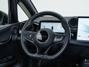 Nouvelle BYD Dolphin EV 2026 – Berline 5 portes à longue autonomie avec batterie Blade, voiture urbaine intelligente pour l'Afrique - Product Image 3