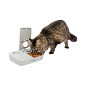 2餐可编程自动猫狗喂食器环保慢碗干半湿食物分配器<span class=keywords><strong>3</strong></span>杯/16盎司塑料 - Product Image 1