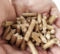 Chauffage à granulés de bois à combustion de particules d'acier pour économie d'énergie domestique, haut de gamme, pour cour, camping extérieur, portable