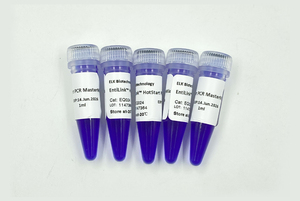 HotStart PCR <span class=keywords><strong>MasterMix</strong></span>, alta calidad para uso en investigación con muchas publicaciones - Product Image 2