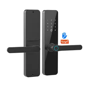 Intelligent Fingerprint Door Locks Cerradura Inteligente With TTlock Digital Interior Door Lock
